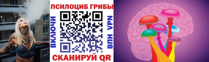 Псилоцибиновые грибы Cubensis  Соль-Илецк 