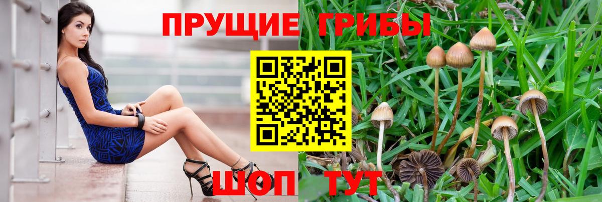 Соль-Илецк  Галлюциногенные грибы Psilocybe  Псилоцибиновые грибы MAGIC MUSHROOMS  Вход с VPN 