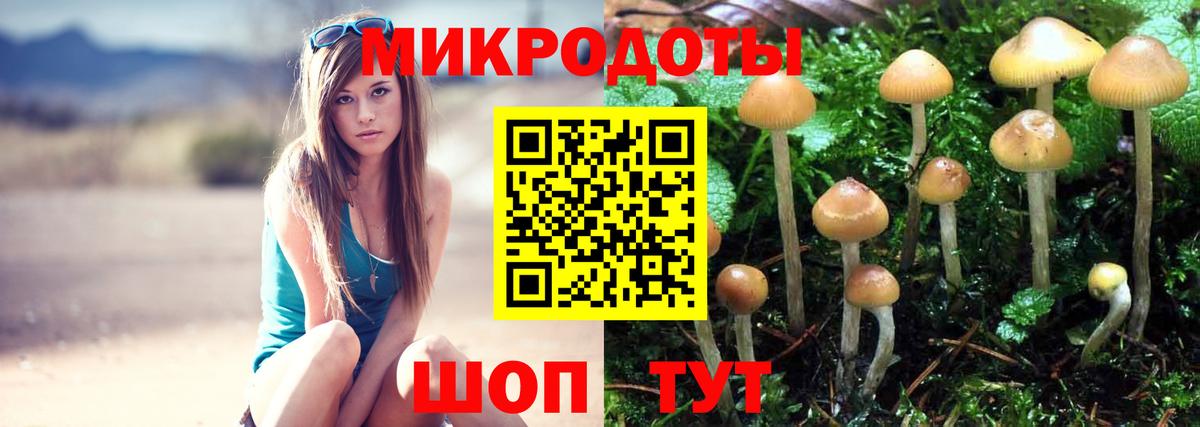 Псилоцибиновые грибы прущие грибы Соль-Илецк