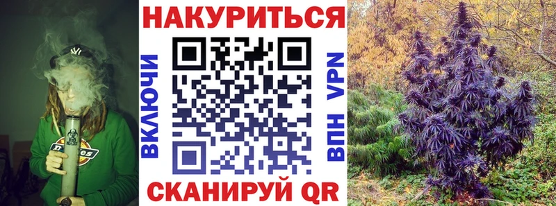 Бошки Шишки сатива  KRAKEN как зайти  Соль-Илецк  хочу  